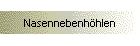 Nasennebenhhlen