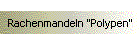 Rachenmandeln "Polypen"